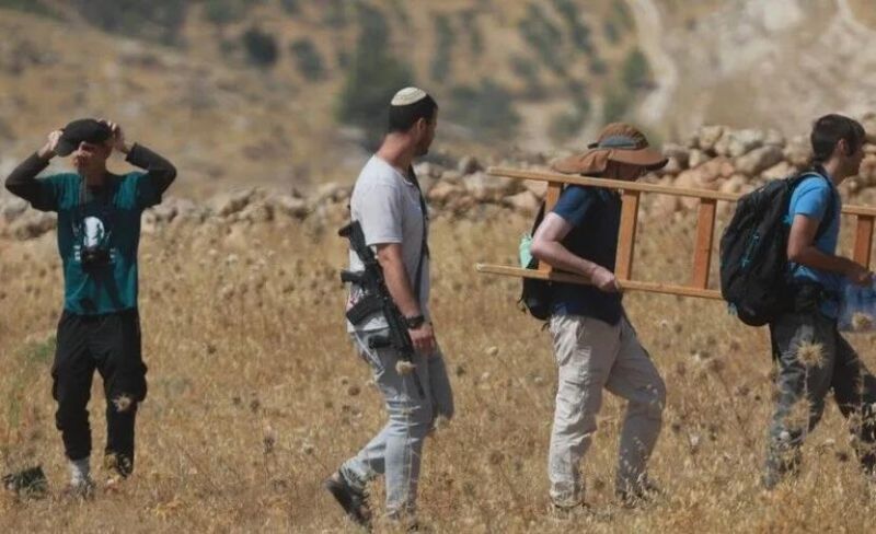 اعتداءات للمستوطنين بالضفة والقدس.. استهداف للأشجار وحرق منازل وتدمير لشبكات المياه