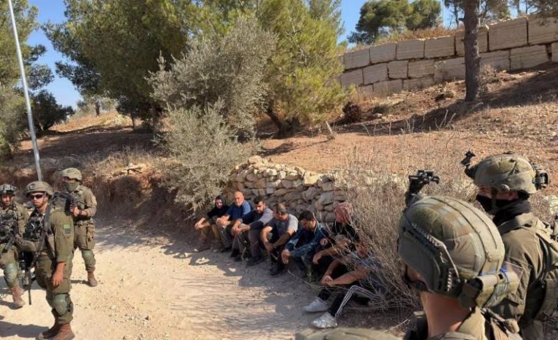 الاحتلال يحتجز مزارعين أثناء قطفهم ثمار الزيتون جنوب طولكرم