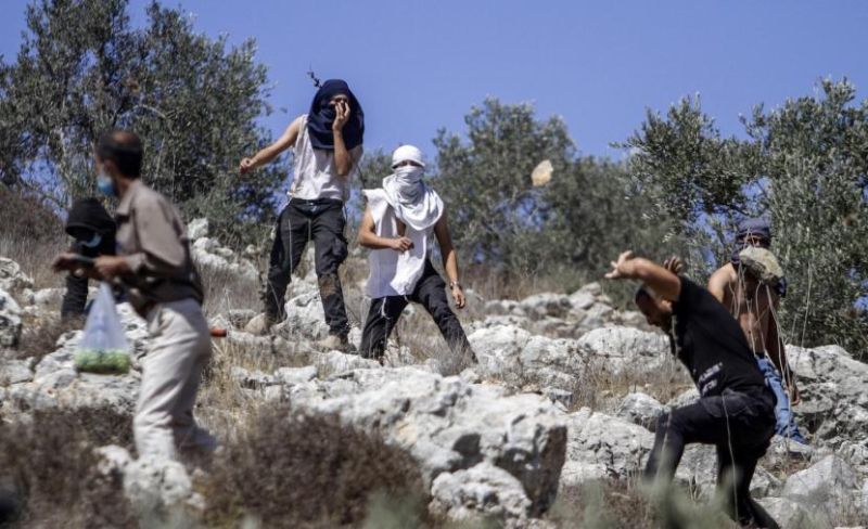 حاخام متطرف يصدر فتوى بتحليل سرقة الزيتون الفلسطيني