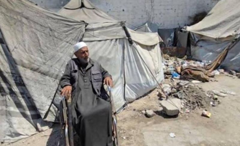 التنمية بغزة: كبار السن يعيشون ظروفًا صعبة ونطالب بتوفير الرعاية لهم وحمايتهم