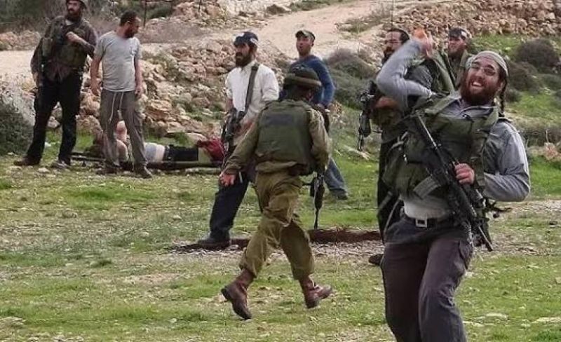 الأمم المتحدة: هجوم المستوطنين على موسم الزيتون أداة لتهجير الفلسطينيين