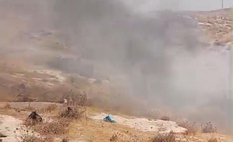 مستوطنون يحرقون نحو 55 شجرة زيتون في بلدة أبو ديس