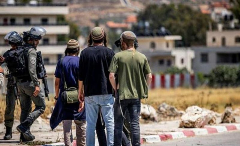 اعتداءات متجددة بالضفة.. المستوطنون يقطعون الكهرباء ويهاجمون قاطفي الزيتون وأراضٍ