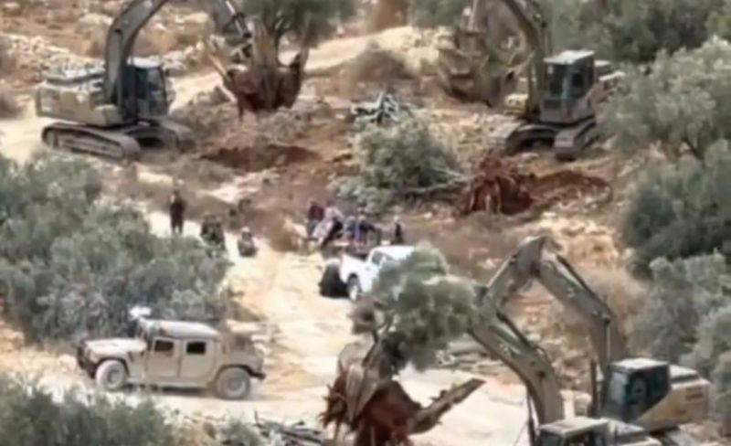 جرافات الاحتلال تقتلع أشجار الزيتون في بيت أولا بالخليل