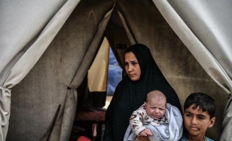 17 ألف مولود جديد في غزة بالربع الثالث من 2026 وسط ظروف استثنائية