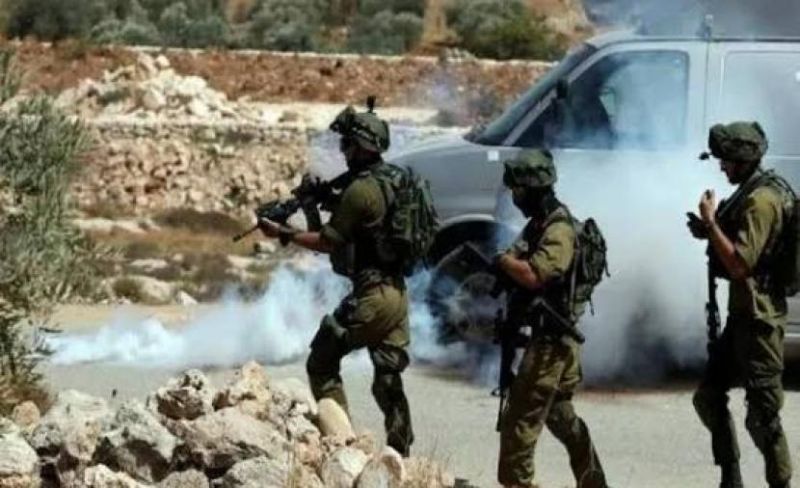 الاحتلال يُطلق قنابل الغاز صوب قاطفي الزيتون شمال رام الله