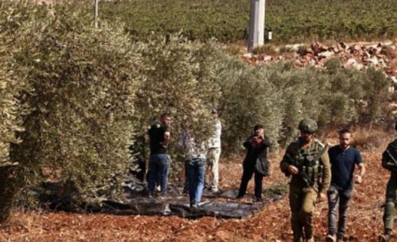 الاحتلال يمنع المواطنين من قطف الزيتون في يعبد بجنين