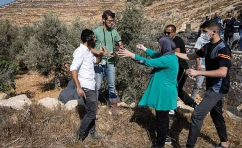 مهاجمة مزارعين واعتداء على مواطن ومنزل مع استمرار هجمات المستوطنين بالضفة