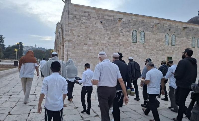 241 مستوطنًا يقتحمون الأقصى ويُؤدون طقوسًا تلمودية