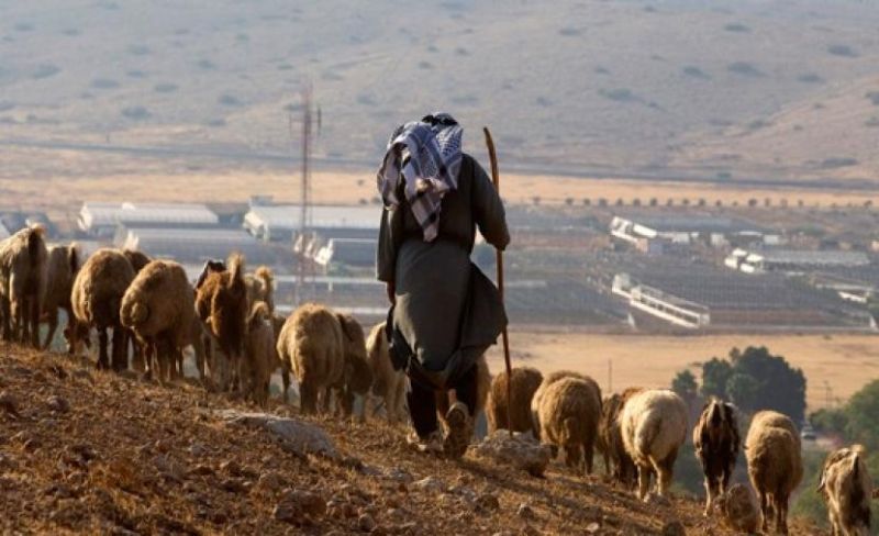 تحذيرات من تدهور كارثي في البيئة الفلسطينية