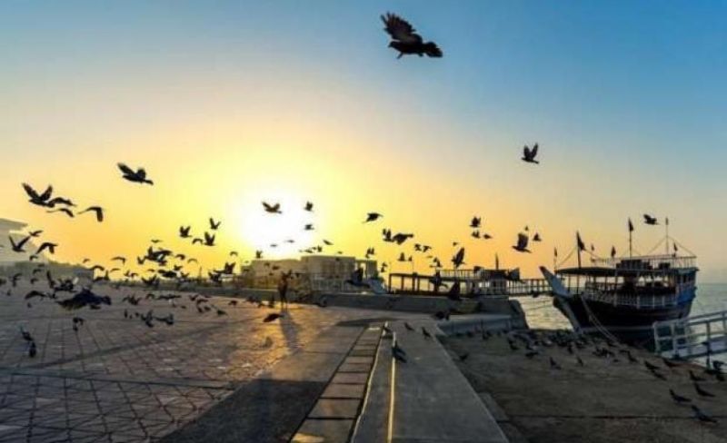 بدءاً من الغد.. انخفاض الحرارة وأجواء خريفية باردة ليلًا
