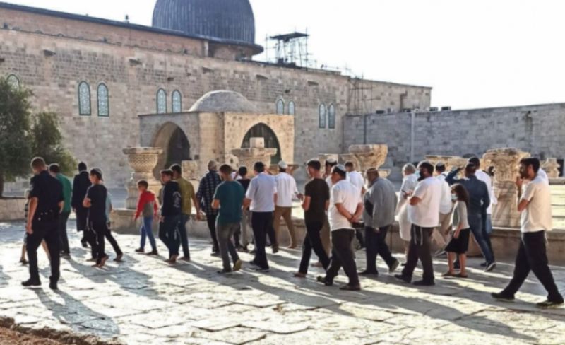 115 مستوطنا يُدنسون باحات المسجد الأقصى