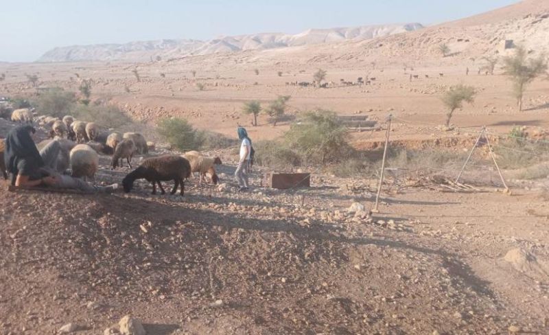 مستوطنون يقتلعون أسلاك أراضٍ بالرشايدة