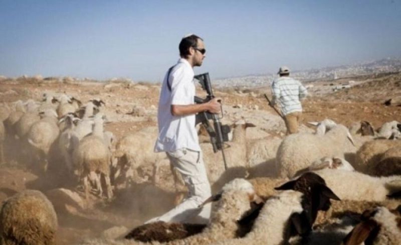 5 اعتداءات استيطانية جديدة بالضفة الغربية