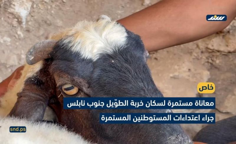 معاناة مستمرة لسكان خربة الطوّيل جنوب نابلس
