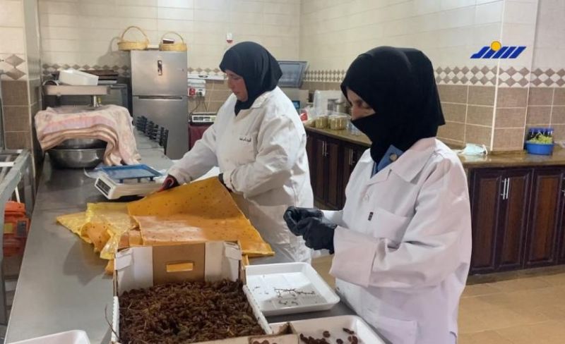 فلسطينيات يحوّلن فائض العنب إلى مصدر دخل