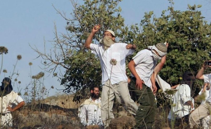 مستوطنون يمنعون مزارعين من قطف الزيتون جنوب نابلس