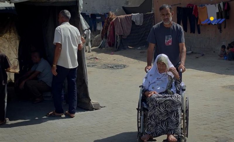 في يومهم العالمي.. مسنو غزة يواجهون قسوة النزوح ونقص الرعاية