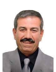 حرب انتخابات المستعمرة