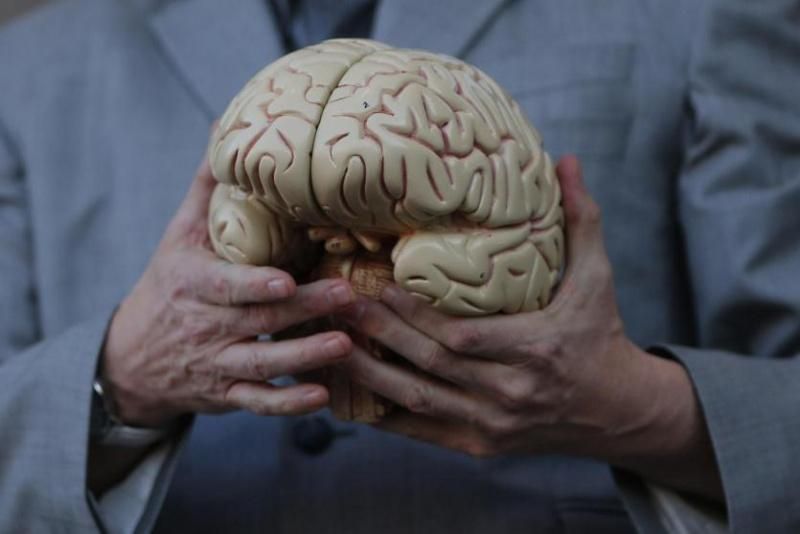 "الدماغ مصنع لا يتوقف".. عالمة تشرح لماذا يستحيل فهمه بالكامل