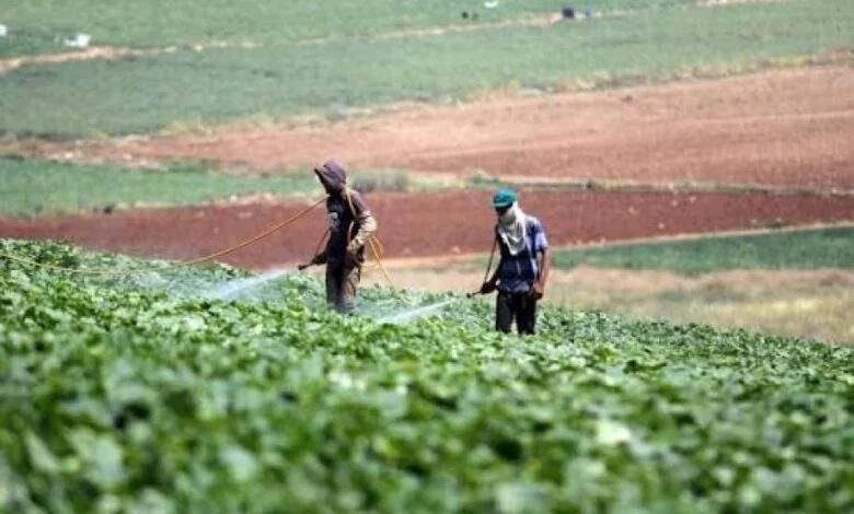 خاص | مزارعو الأغوار يطالبون بحل عملي لملف ديون المياه قبل تفاقم الأزمة