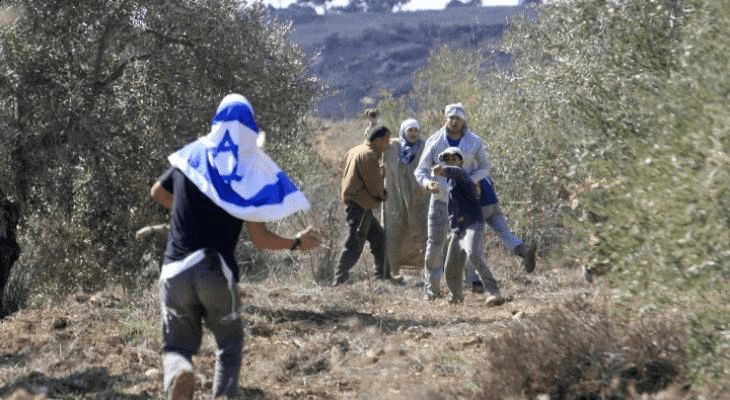 رئيس مجلس قروي المغير، أمين أبو عليا لـ "راية": المغير تعيش حصاراً كاملاً و11 بؤرة استيطانية تحرم المزارعين من موسم الزيتون للعام الثالث