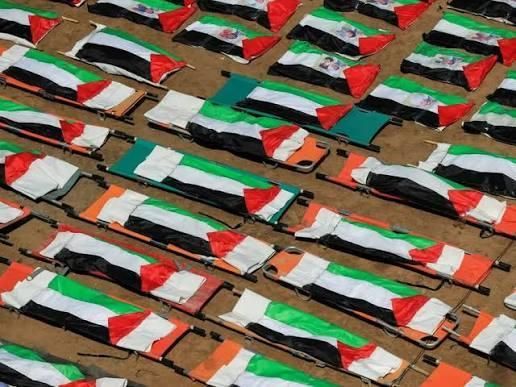 اليونيسف: الاحتلال قتل أكثر من 340 طفلا في غزة منذ بدء وقف إطلاق النار