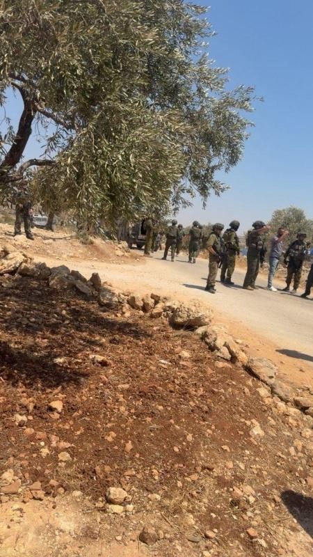 الاحتلال يعتدي على مواطنين في بيت فوريك شرق نابلس