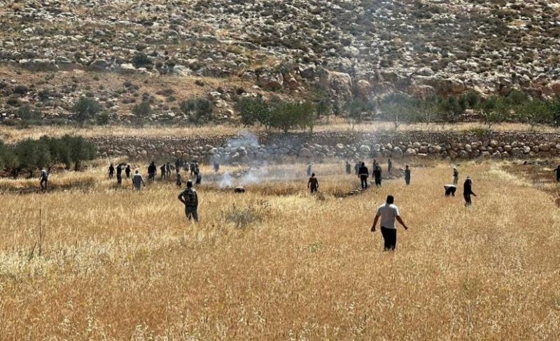 الاحتلال يحرق محاصيل زراعية في المغير شمال شرق رام الله