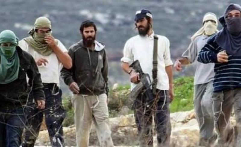 إصابة سيدتين باعتداء مستوطنين عليهما أثناء قطف الزيتون شرق طولكرم