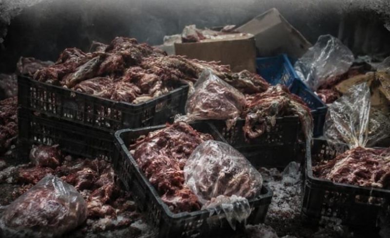 إتلاف 13.5 طنًا من الدجاج والدقيق في غزة