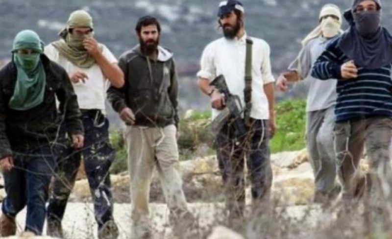 مستوطنون يطلقون الرصاص على رعاة أغنام في المنية ببيت لحم