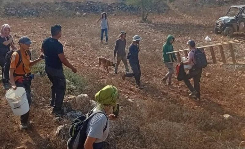 مستوطنون يمنعون مزارعين من قطف الزيتون شرق نابلس
