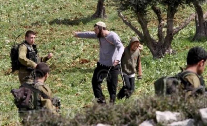 الاحتلال يخطر بالاستيلاء على 7 دونمات بجنين لأغراض استيطانية