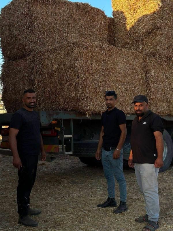 "زراعة بيت لحم" تنفذ تدخلا عاجلا لمربي الثروة الحيوانية في قرية كيسان