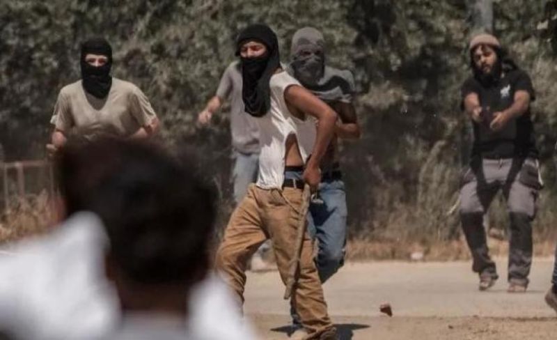 مستوطنون يستولون على حصان مزارع جنوب بيت لحم